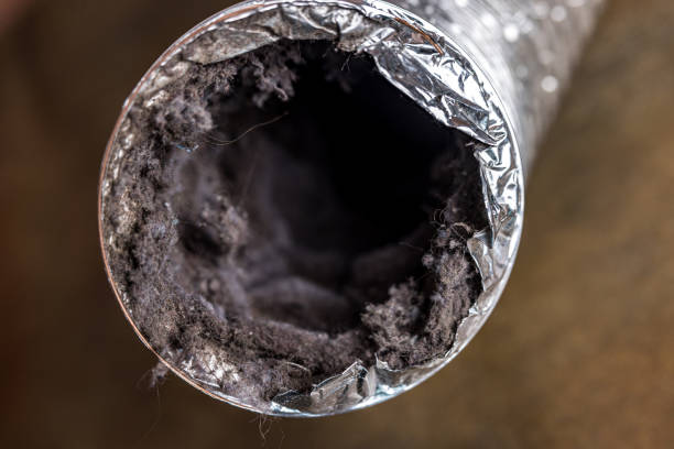 Best Local Air Duct Cleaning Services  in Kotlik, AK